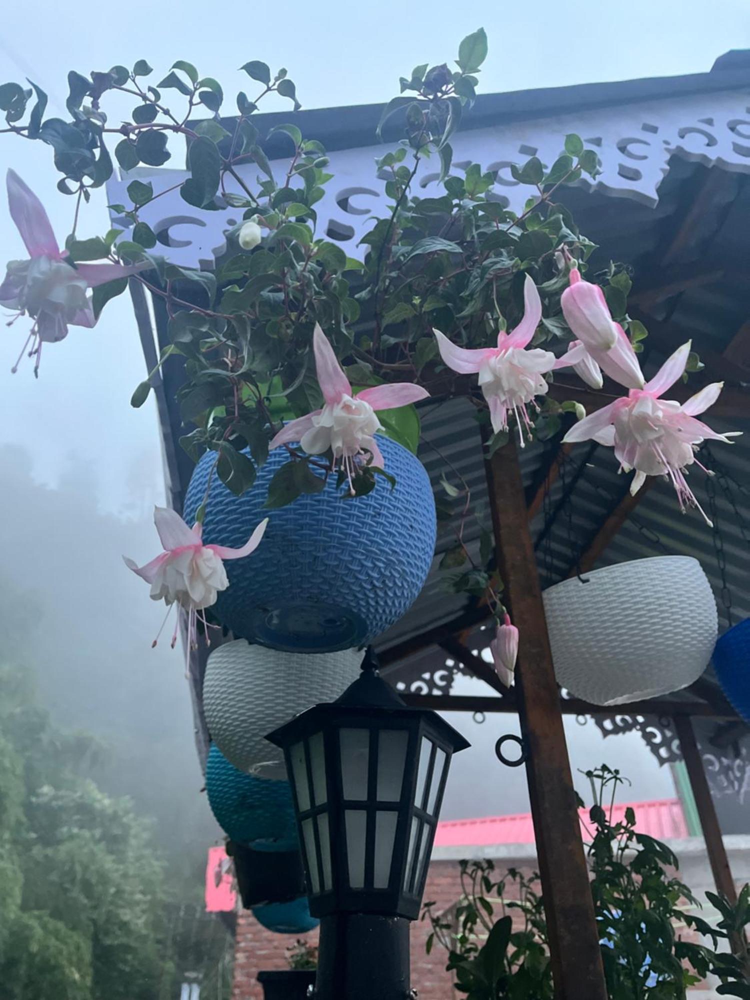 Shalom Inn Home Stay Darjeeling  Exteriör bild