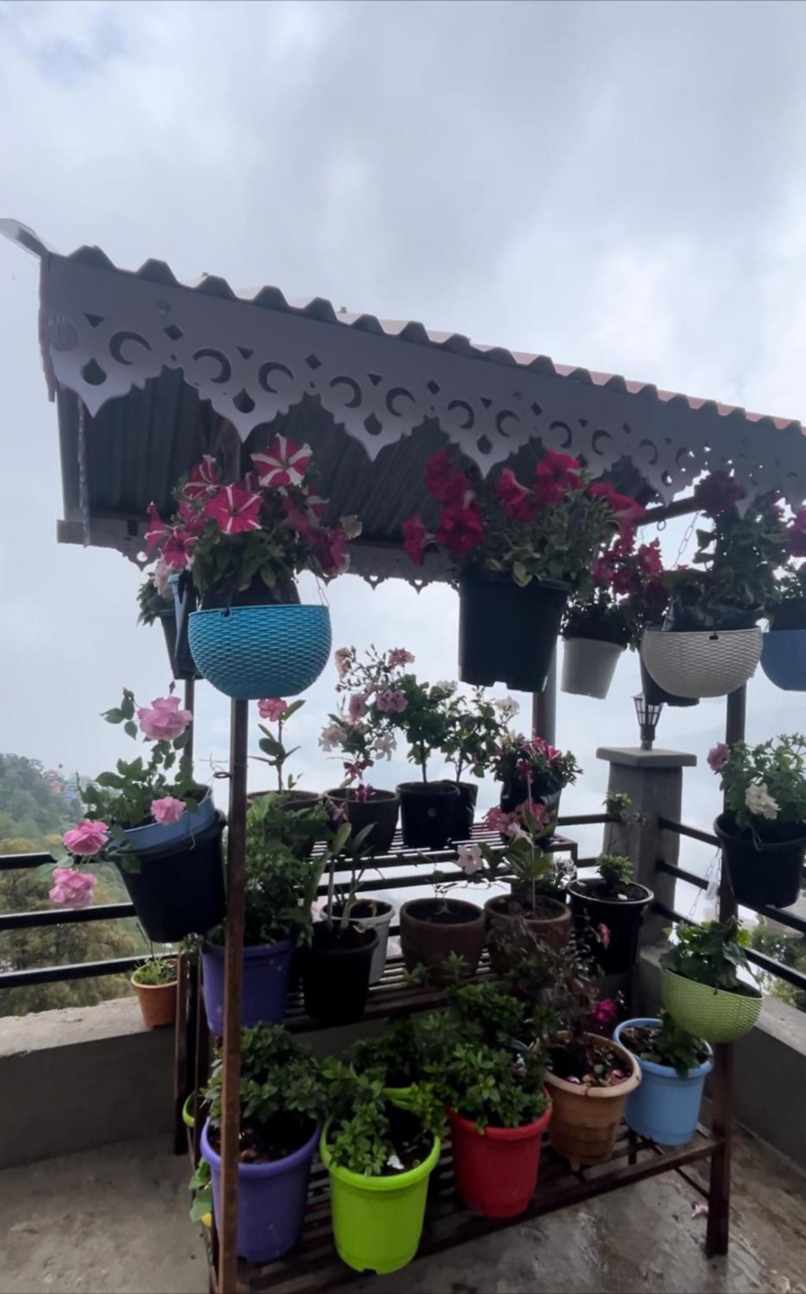 Shalom Inn Home Stay Darjeeling  Exteriör bild