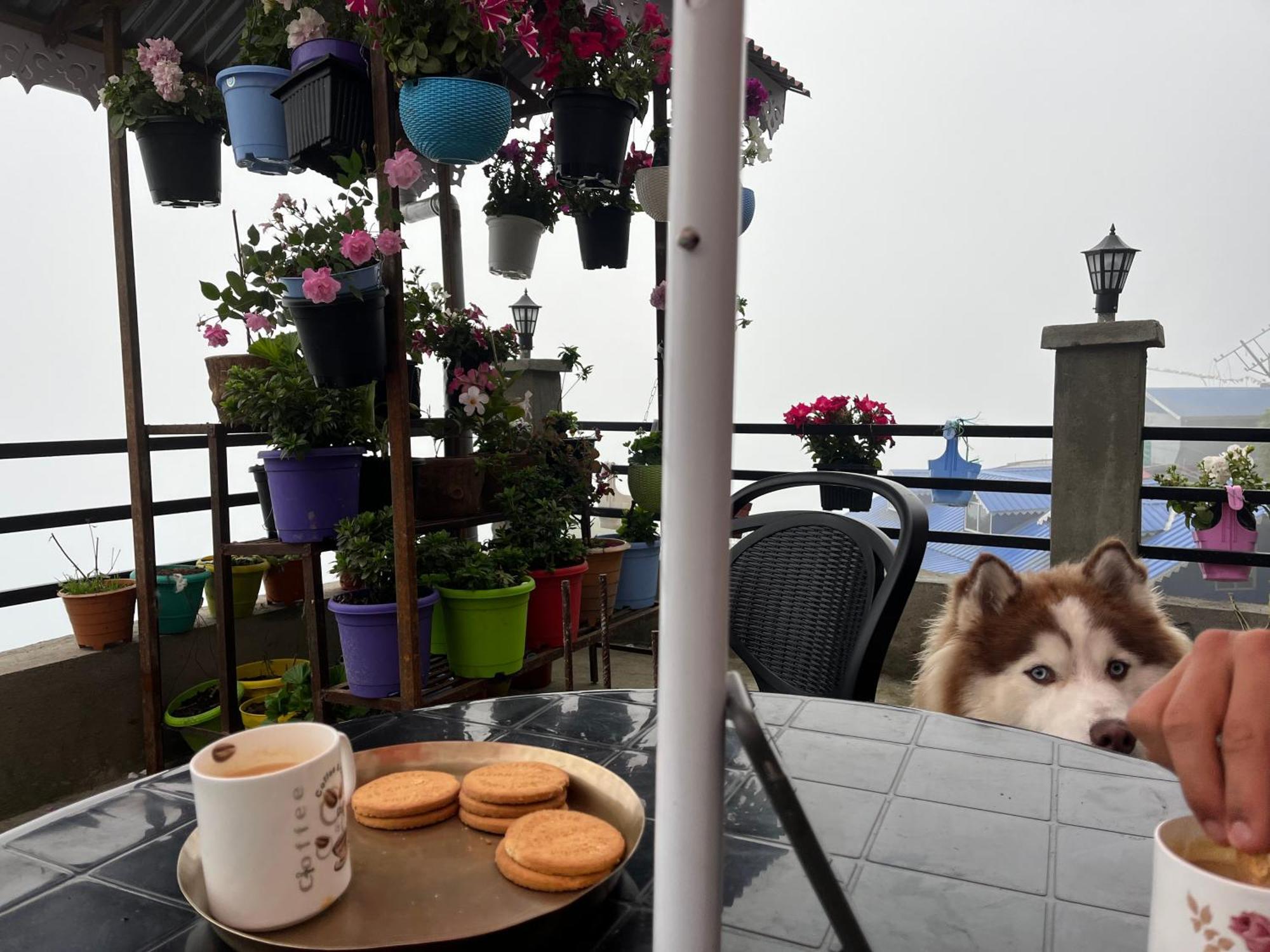 Shalom Inn Home Stay Darjeeling  Exteriör bild